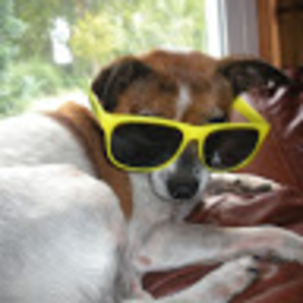 Meet your Posher, The